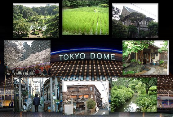 小石川散歩