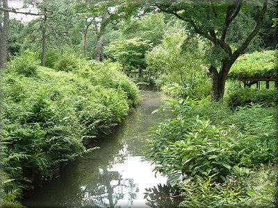 小石川後楽園自然