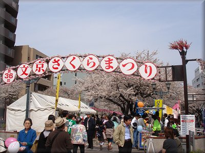 文京さくらまつり