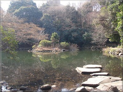 東大三四郎池